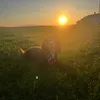 freya_reidxx1