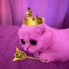 jmisprogg