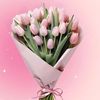 raneem.jaradat