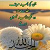 maryam.qamar26