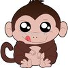 chunky_monkey_101