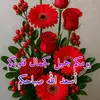 fatihachakib813
