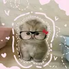 giovana_donagigi