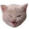 fabbkitty0