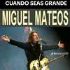 javiergarnica8337