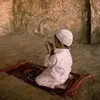 mohammadmudjib