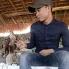hi.ngn317