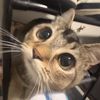 userhappyface0