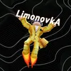 l1monovk4