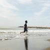 Ngesur blarak