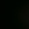 latorre36044