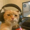 jamesbugoy8