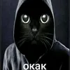 user1985027205106