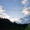 _burungpuyuh_06