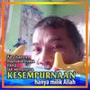 ujang.saefulloh0