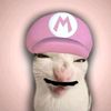 user323355119