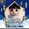 user195340287