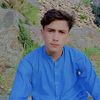 mshazad8088