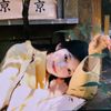 emilia.yu1