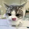 peanut_3662