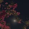 soso_18js8