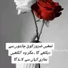 shani.khokhar.678
