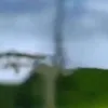 notfella0
