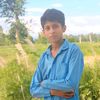 dibindarmandal