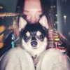arinazn1