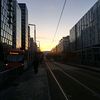 haakon240