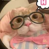 fanmamtizii01