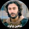 shahainking2