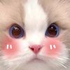 juita.mimi2