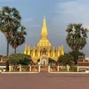ngananh_le219