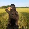 shikha7142