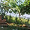 korbanmantan001