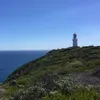 summervibes_102