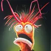 stribbler1