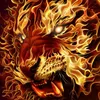 mhgk_raider