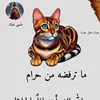 user74401510533110