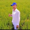user550226205