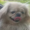 toki0154