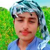 maliktanveermalik70