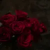 stolzeyezide4ever