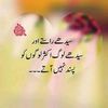 mamud.murtaza