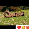 cutefouji756
