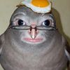 iascjlcsykwsp