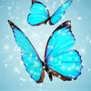 mariposavoladora13