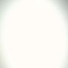 can_can25a