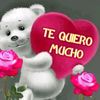 user8078802813520